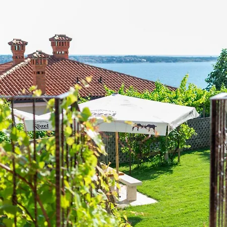 Apartments Apartim Piran Piran